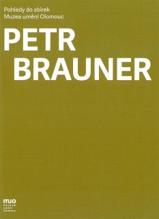 Petr Brauner. Architekt